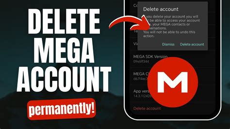 delete mega account